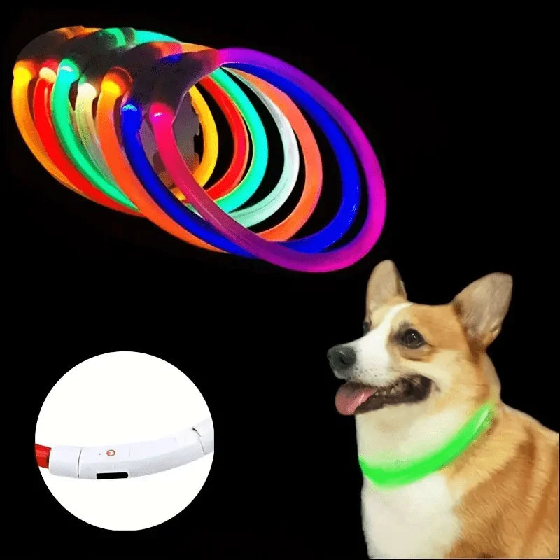 Waterdichte LED Halsband voor Honden – Verstelbare Maat