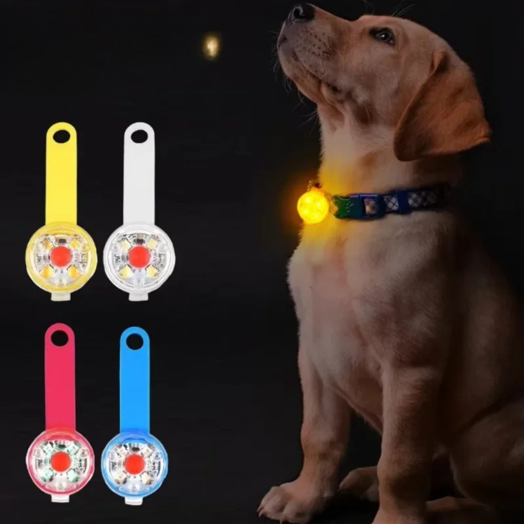 Lichtbol voor Hondenhalsband