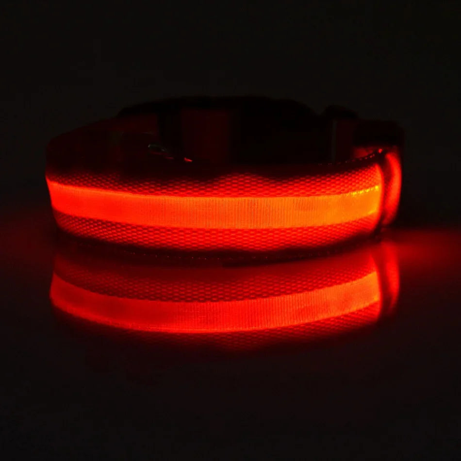 Lichtgevende hondenhalsband van nylon (LED)
