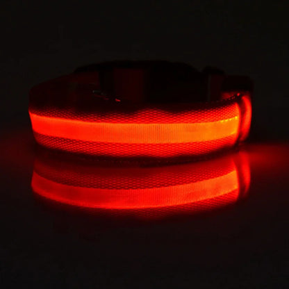 Lichtgevende hondenhalsband van nylon (LED)