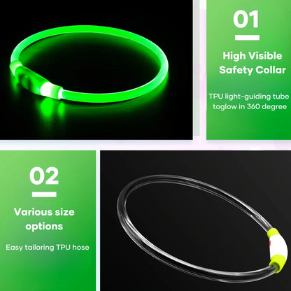 Waterdichte LED Halsband voor Honden – Verstelbare Maat