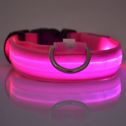 Lichtgevende hondenhalsband van nylon (LED)