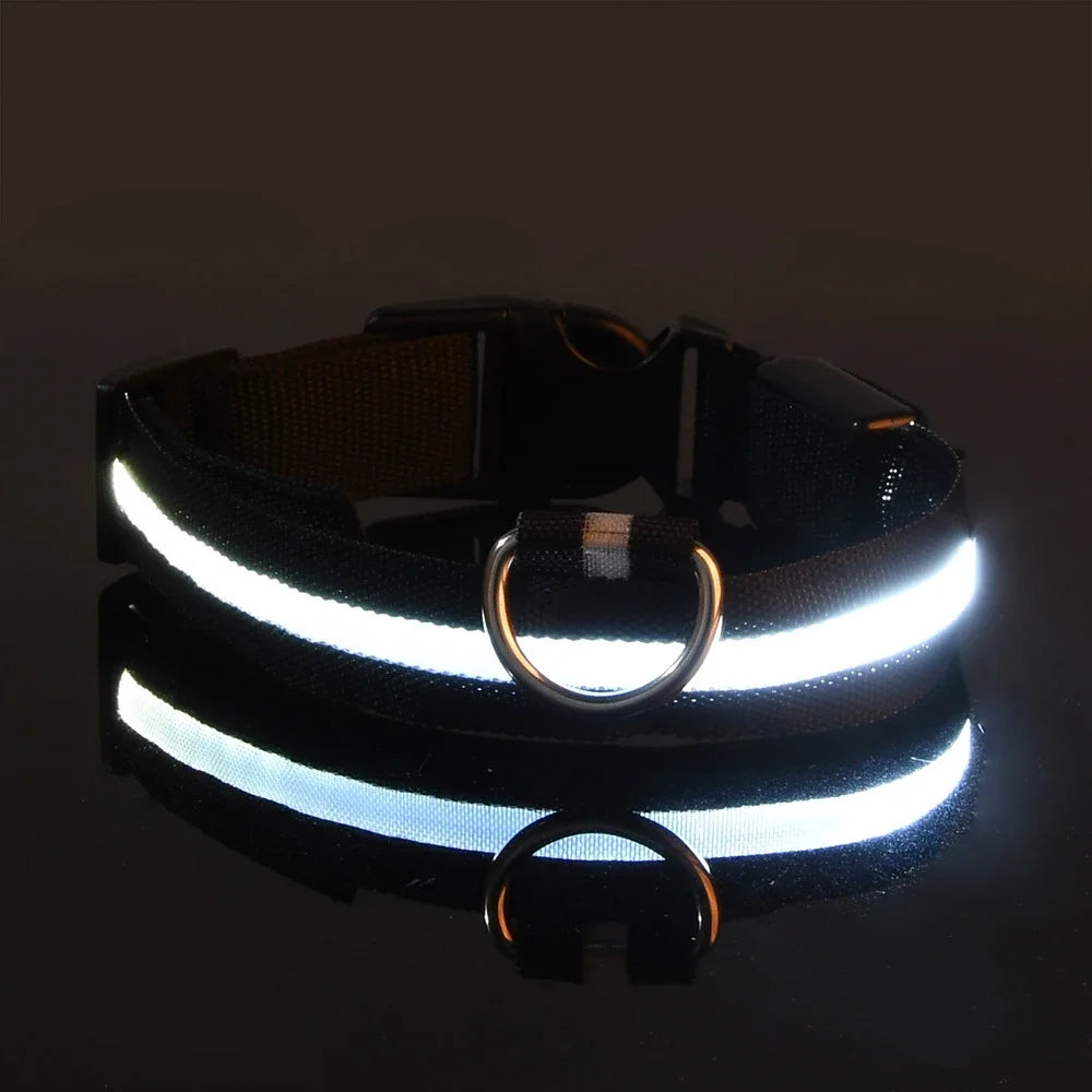 Lichtgevende hondenhalsband van nylon (LED)