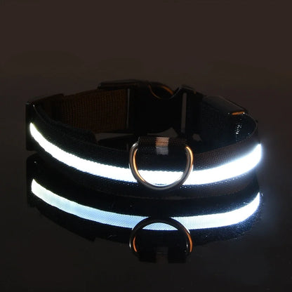 Lichtgevende hondenhalsband van nylon (LED)