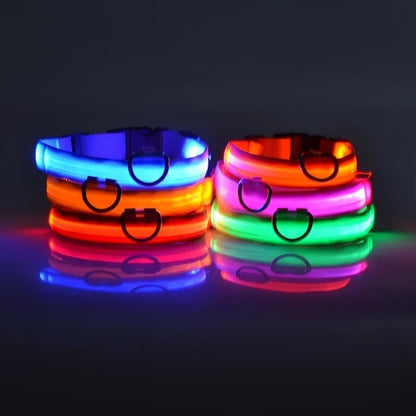 Lichtgevende hondenhalsband van nylon (LED)