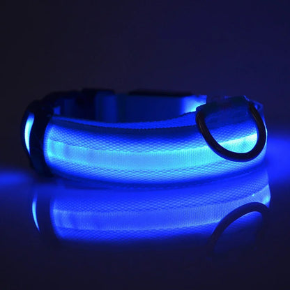 Lichtgevende hondenhalsband van nylon (LED)