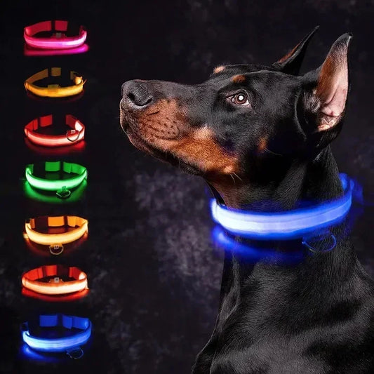 Oplaadbare LED Hond Halsband
