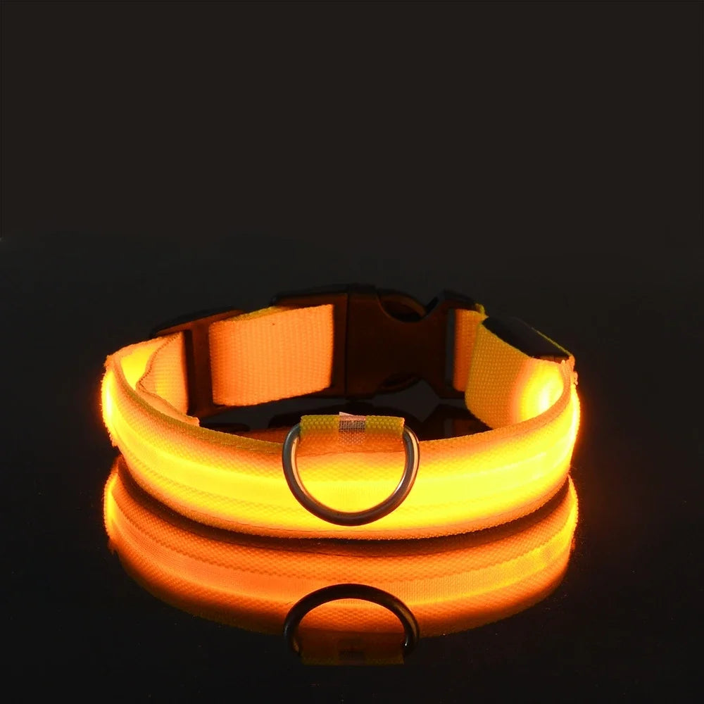 Lichtgevende hondenhalsband van nylon (LED)