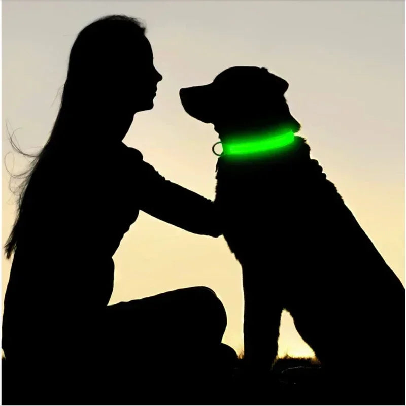 Oplaadbare LED Hond Halsband