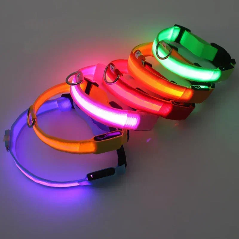 Oplaadbare LED Hond Halsband