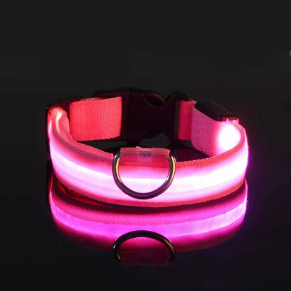 Lichtgevende hondenhalsband van nylon (LED)