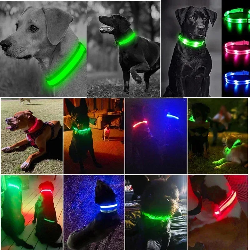 Oplaadbare LED Hond Halsband