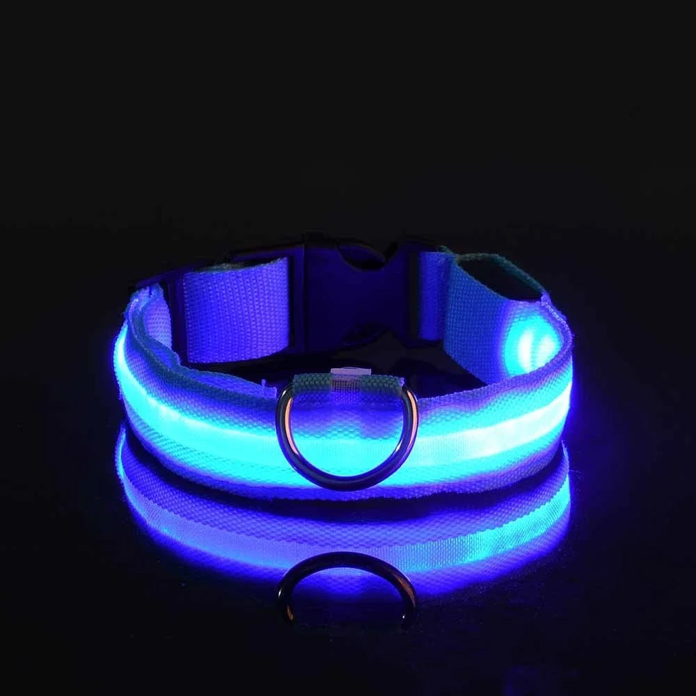 Lichtgevende hondenhalsband van nylon (LED)