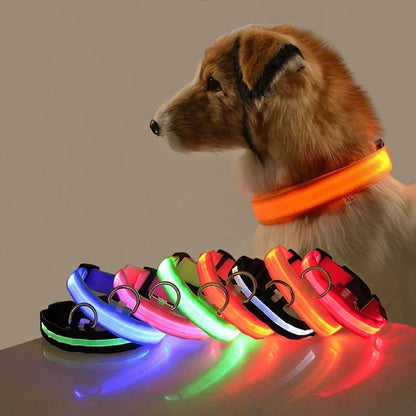 Lichtgevende hondenhalsband van nylon (LED)