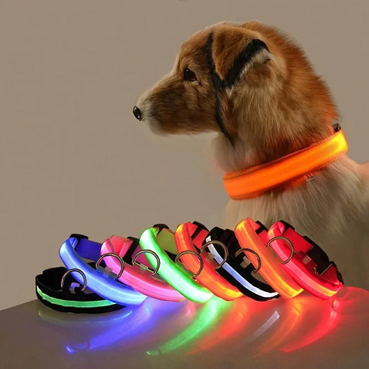 Lichtgevende hondenhalsband van nylon (LED)