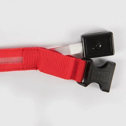 Oplaadbare LED Hond Halsband