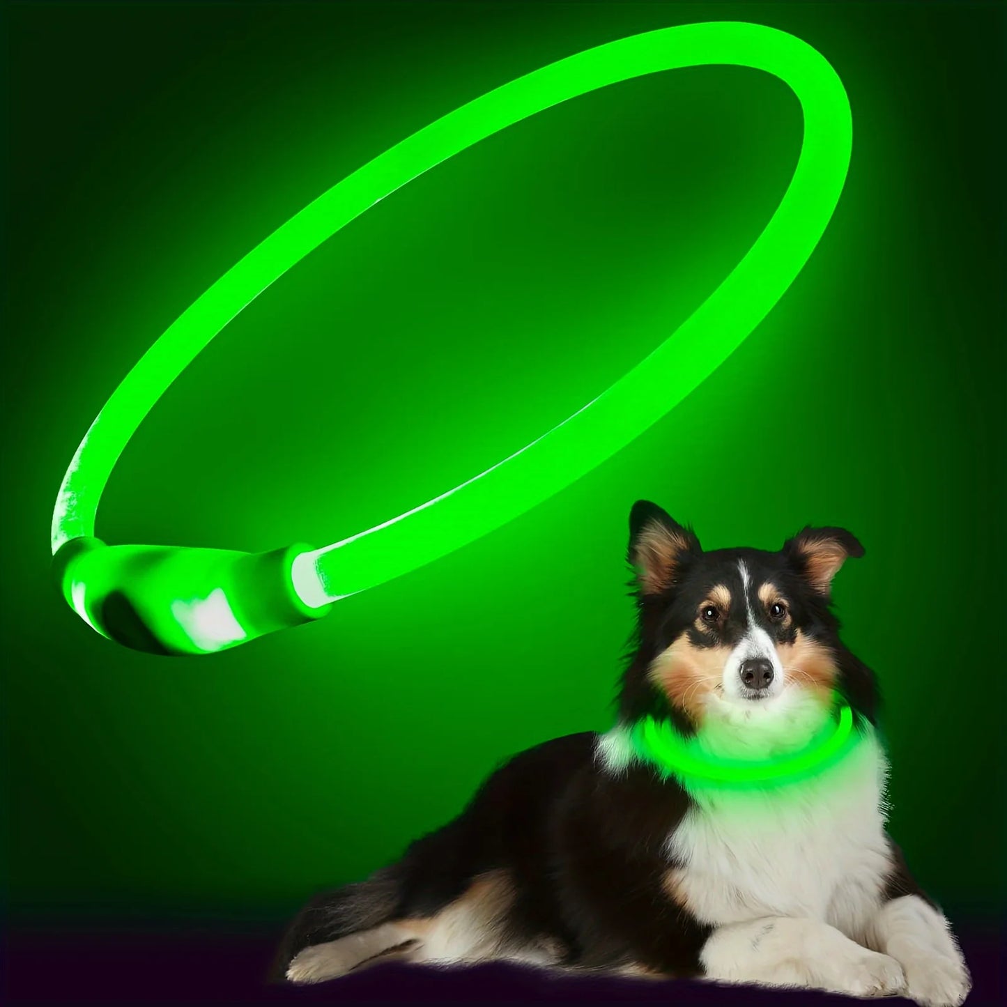 Waterdichte LED Halsband voor Honden – Verstelbare Maat