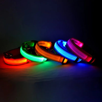 Lichtgevende hondenhalsband van nylon (LED)