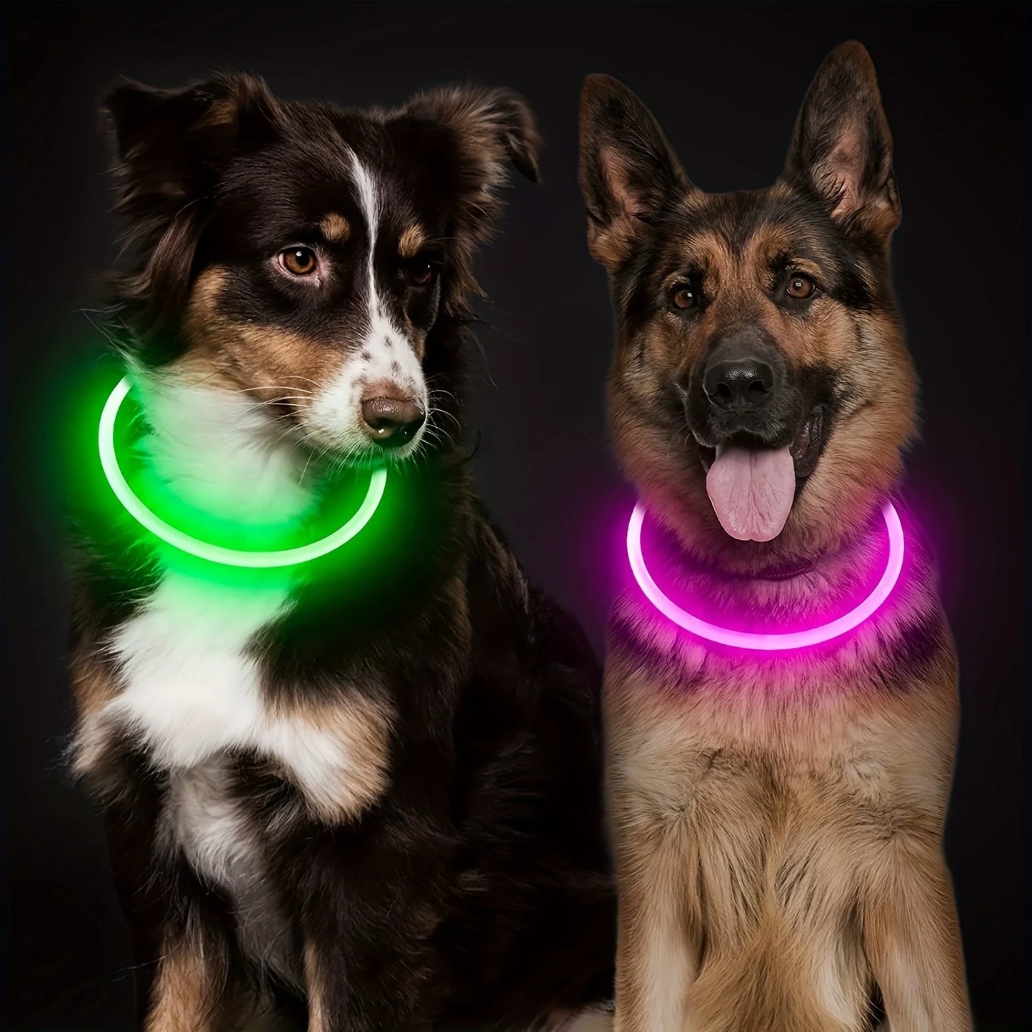 Waterdichte LED Halsband voor Honden – Verstelbare Maat