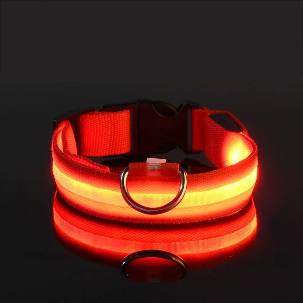 Lichtgevende hondenhalsband van nylon (LED)