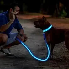 Oplaadbare LED Hond Halsband
