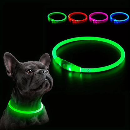 Waterdichte LED Halsband voor Honden – Verstelbare Maat