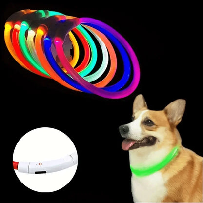 Waterdichte LED Halsband voor Honden – Verstelbare Maat