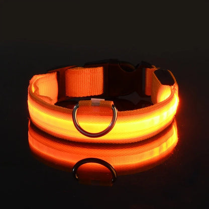 Lichtgevende hondenhalsband van nylon (LED)