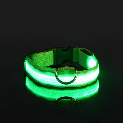 Lichtgevende hondenhalsband van nylon (LED)
