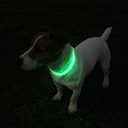 Oplaadbare LED Hond Halsband